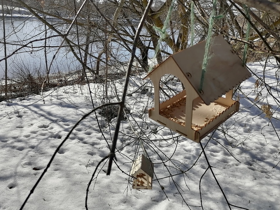 Фото: REGIONS/Наталья Дорофеева