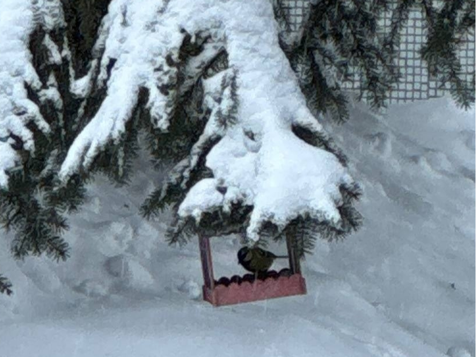 Фото: пресс-служба городского округа Кашира