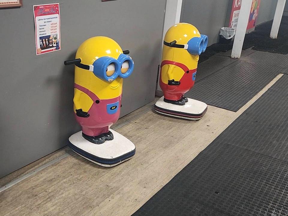 Фото: МедиаБанк Подмосковья/Роман Савельев