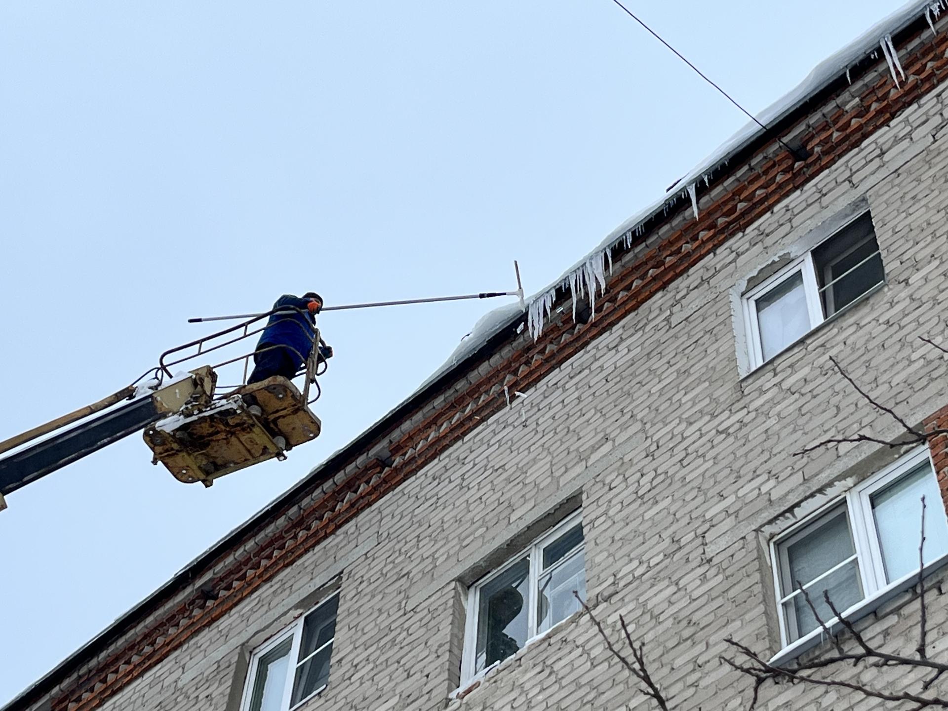 Фото: МедиаБанк Подмосковья/Ангелина Стельмух