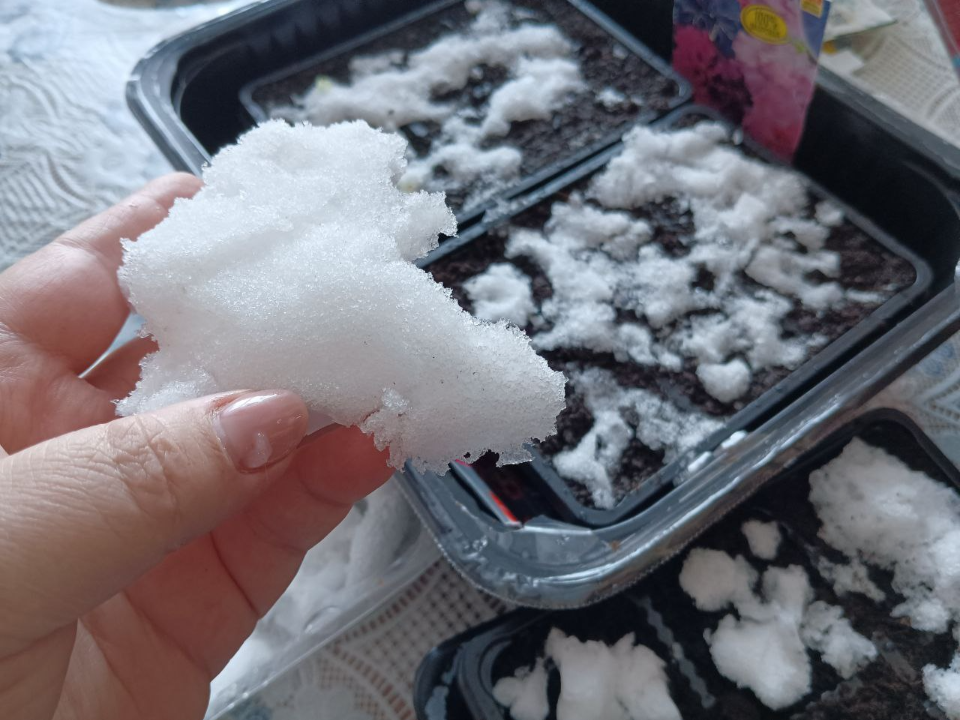 Фото: Николай Лялин