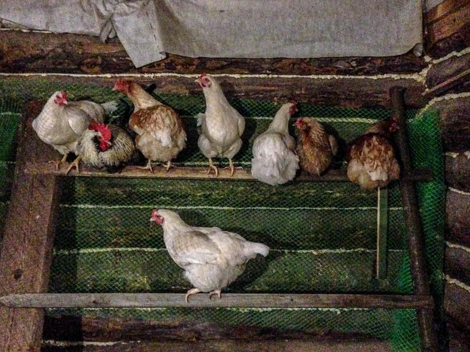 Фото: REGIONS/Роман Малышенко