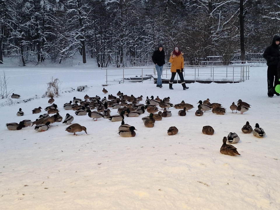 Фото: Виктория Фортуна