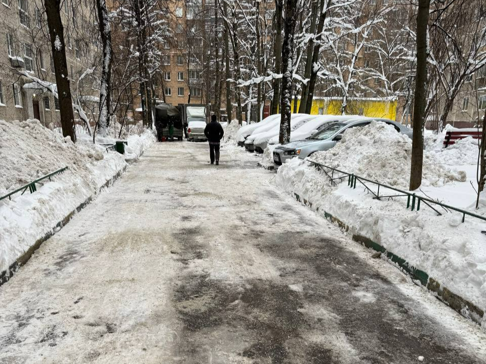 Фото: пресс-служба администрации г.о. Химки