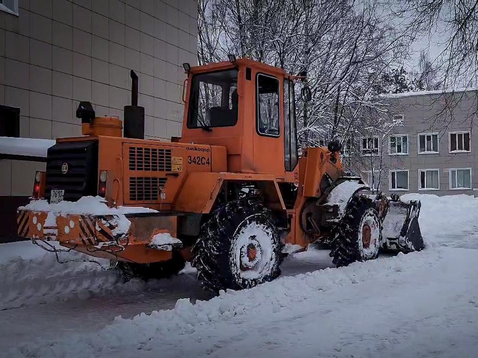 Фото: МедиаБанк Подмосковья/Ольга Антонова