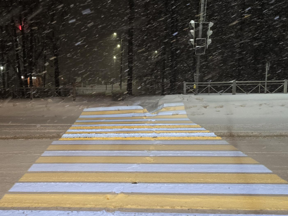 Фото: МедиаБанк Подмосковья/Марина Анисимова