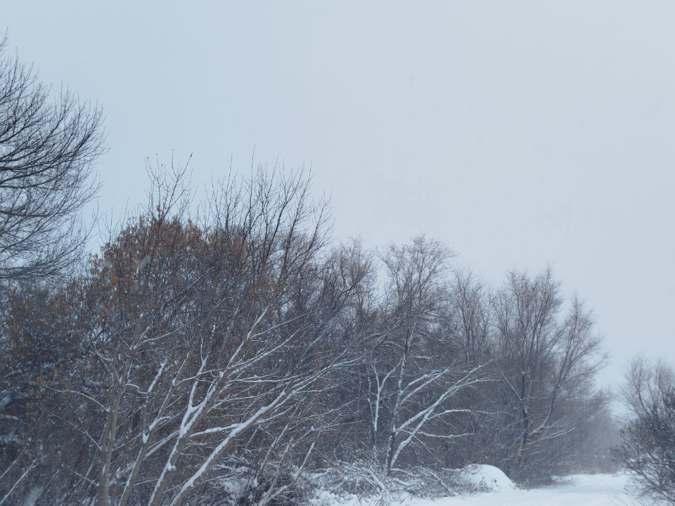 Фото: REGIONS/Юлия Куделькина