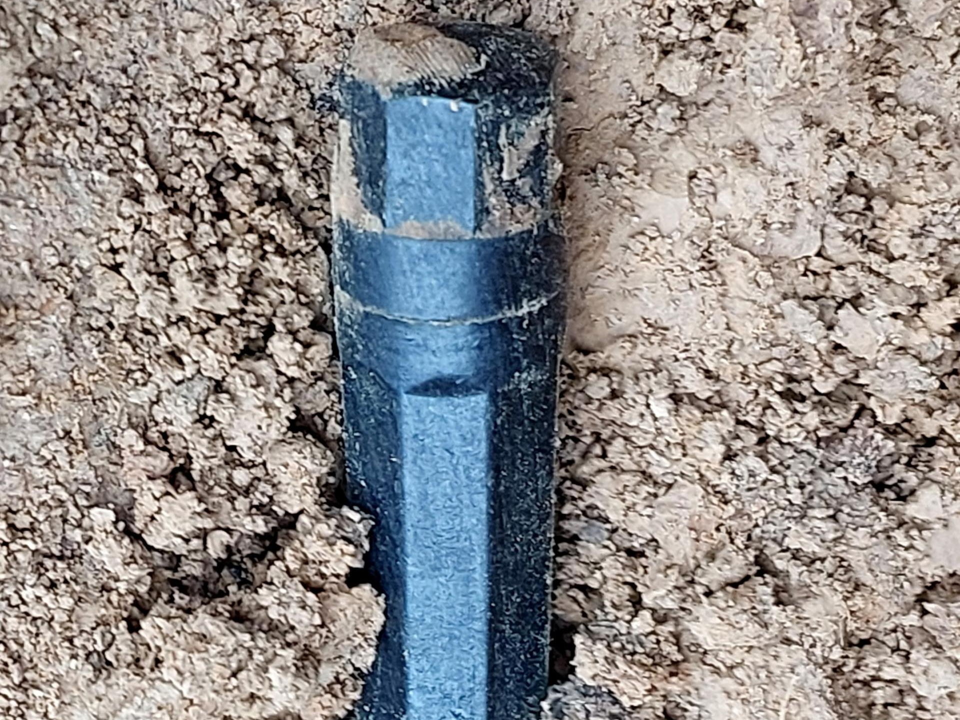 Фото: пресс-служба администрации Наро-Фоминского г.о.