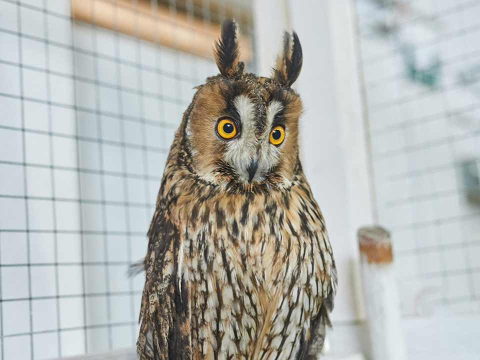 Фото: istockphoto.com/Artsiom Petrushenka