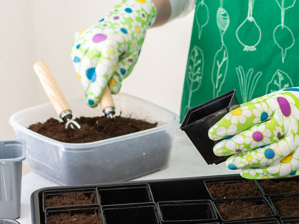 Фото: istockphoto.com/pundapanda