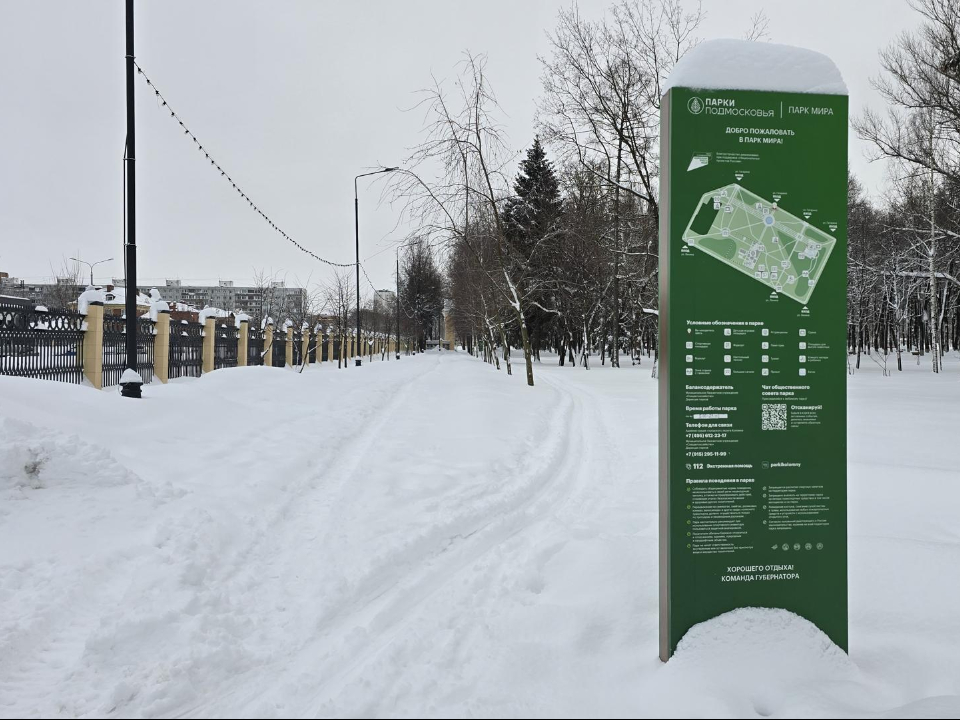 Фото: Медиабанк Подмосковья/Марина Анисимова