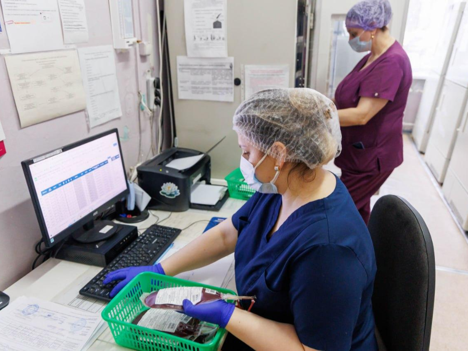 Фото: МедиаБанк Подмосковья/Наталья Лымарь