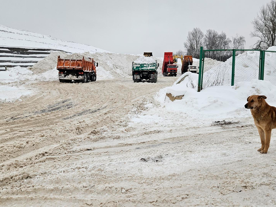 Фото: МедиаБанк Подмосковья/Вероника Горбачева