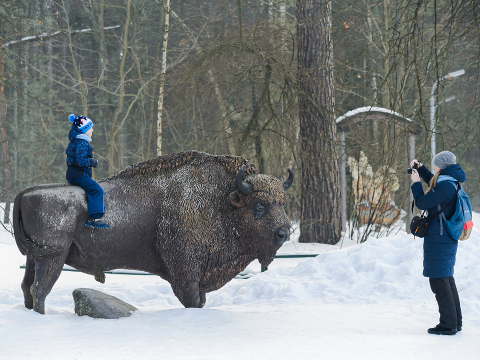 Фото: медиасток.рф