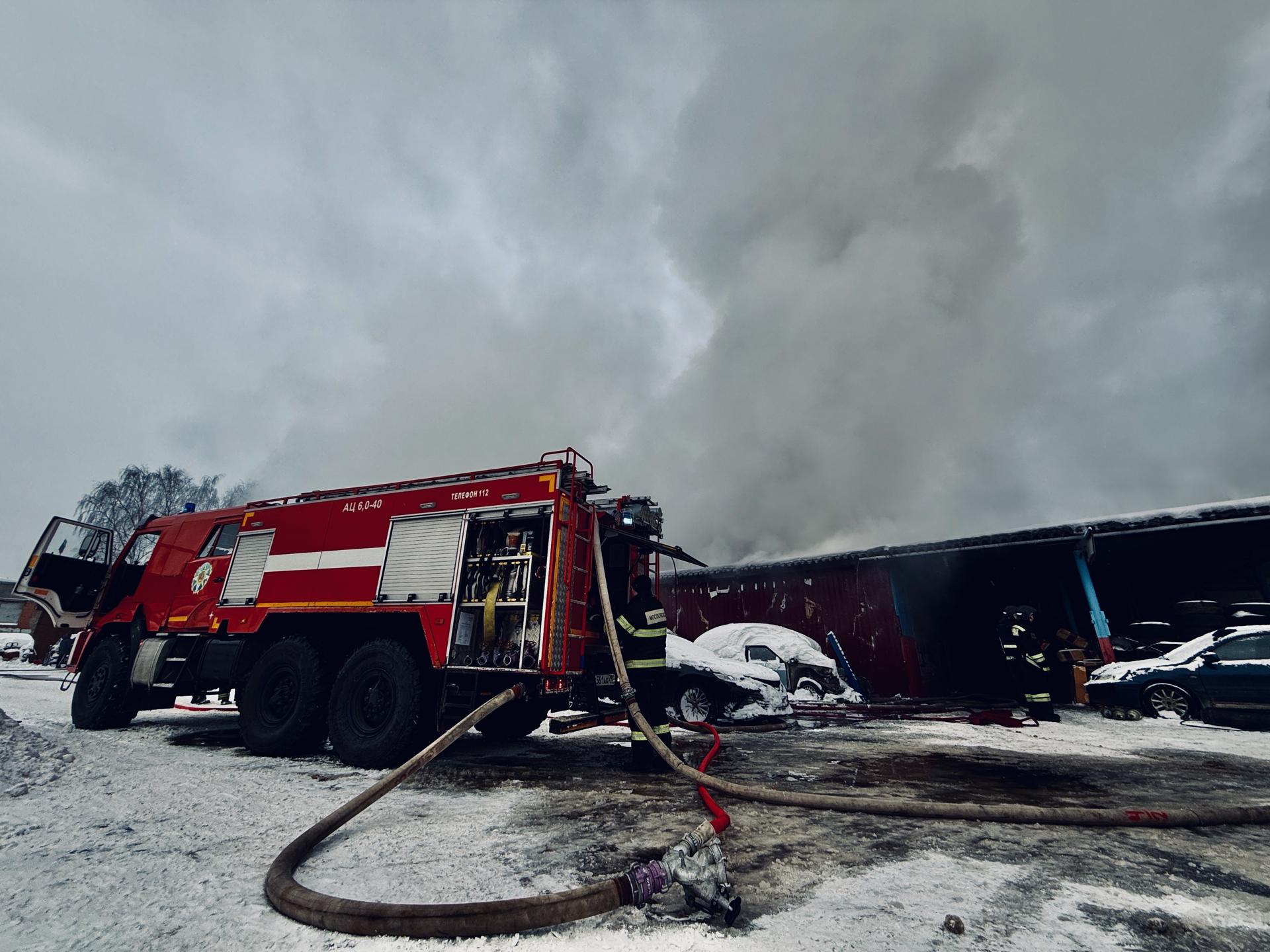 Фото: МедиаБанк Подмосковья/Ольга Стаферова