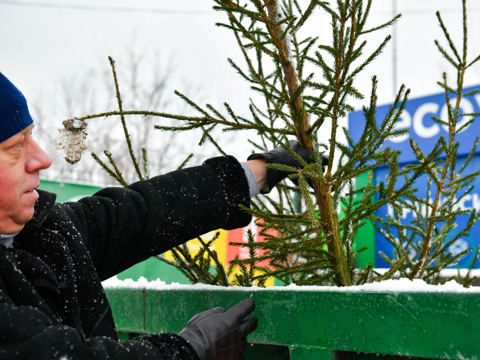 Фото: пресс-служба администрации г.о. Химки