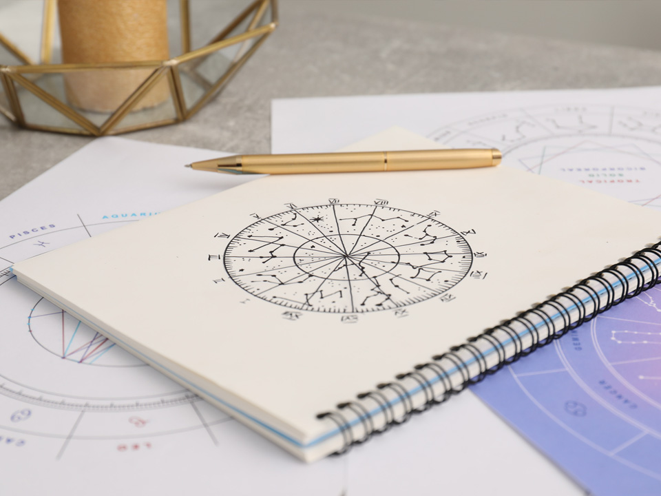 Фото: istockphoto.com/Liudmila Chernetska 