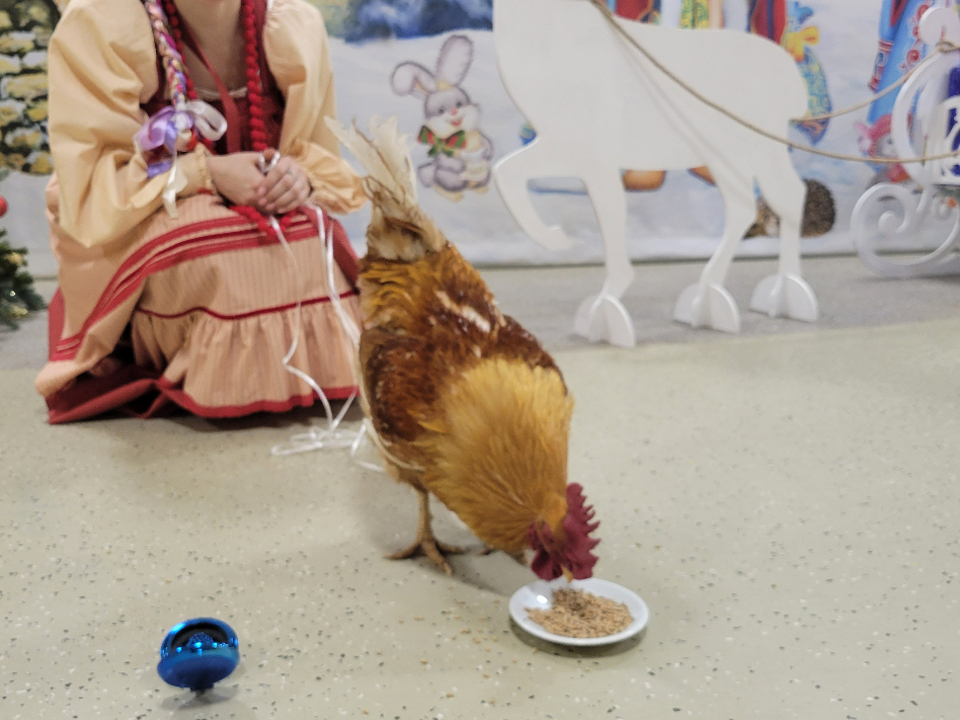 Фото: МедиаБанк Подмосковья/Кирилл Цибизов