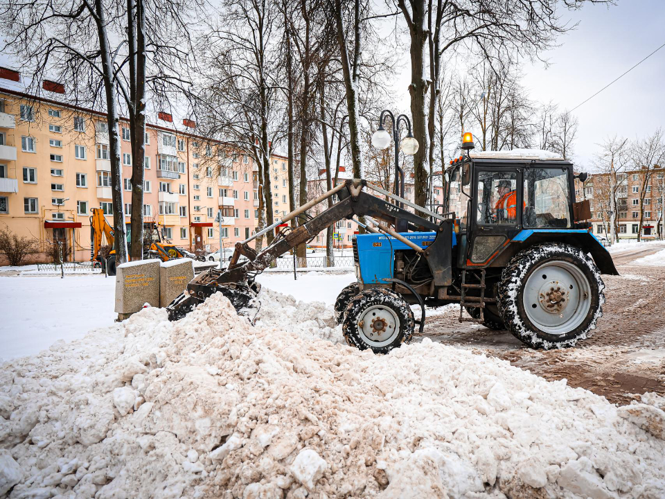 Фото: МедиаБанк Подмосковья/Данила Кирьянов