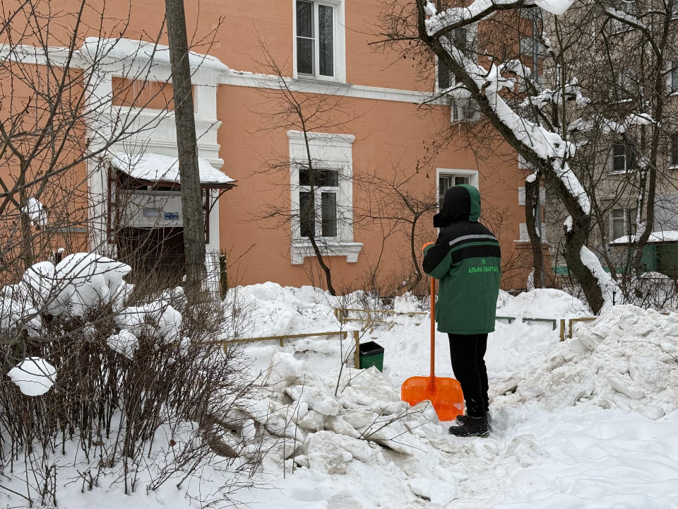 Фото: МедиаБанк Подмосковья/Анна Дука