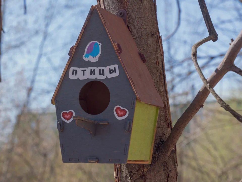 Фото: REGIONS/Наталия Надточая