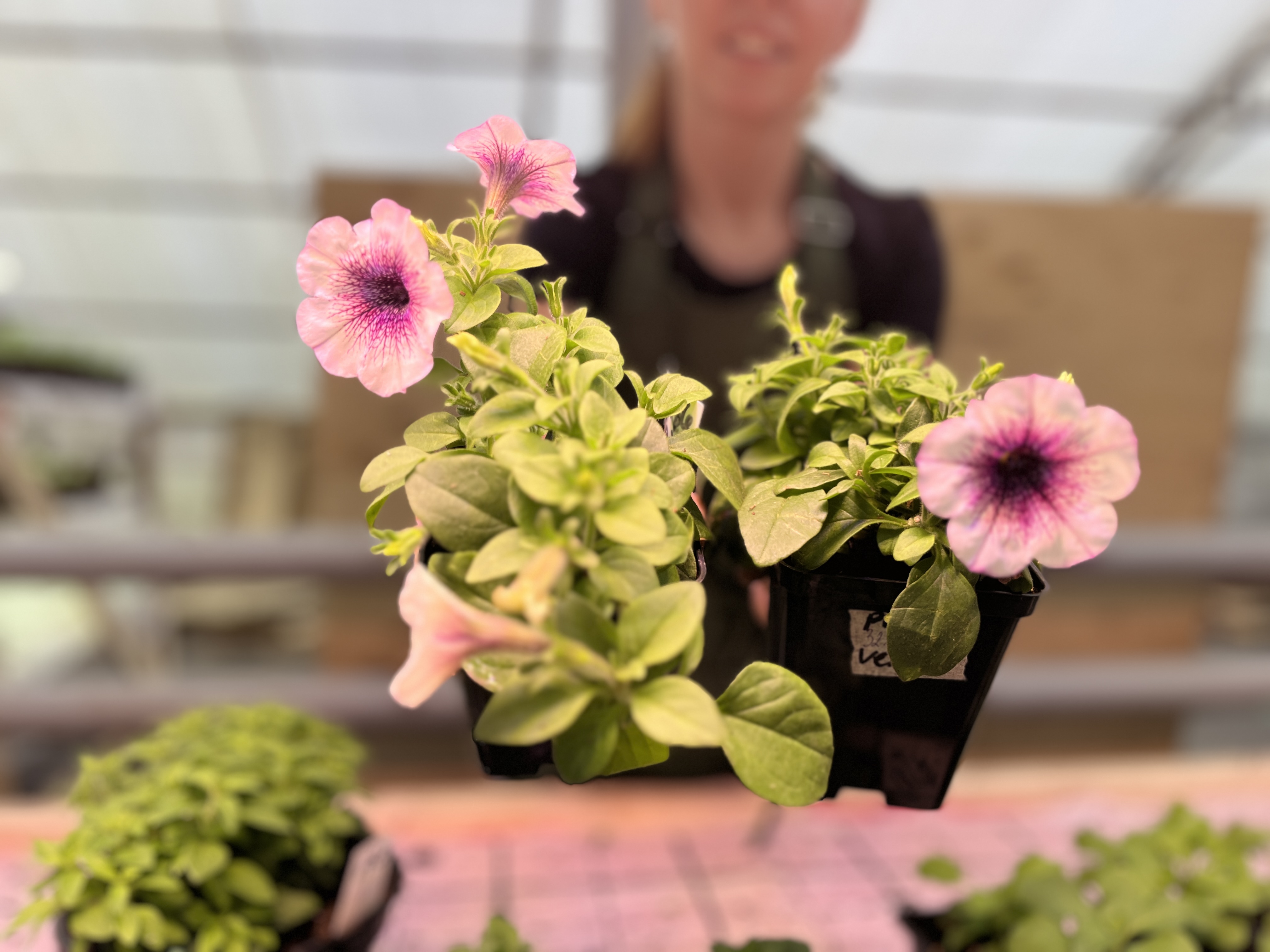 Фото: МедиаБанк Подмосковья/Анна Тюрюмина