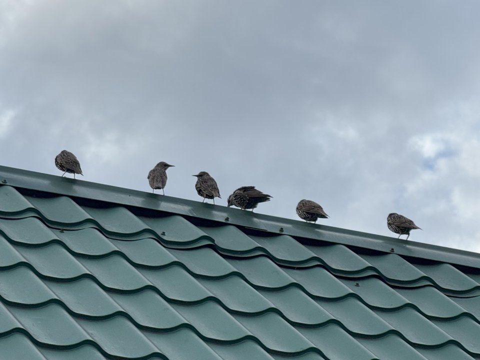 Фото: REGIONS/Илья Попов