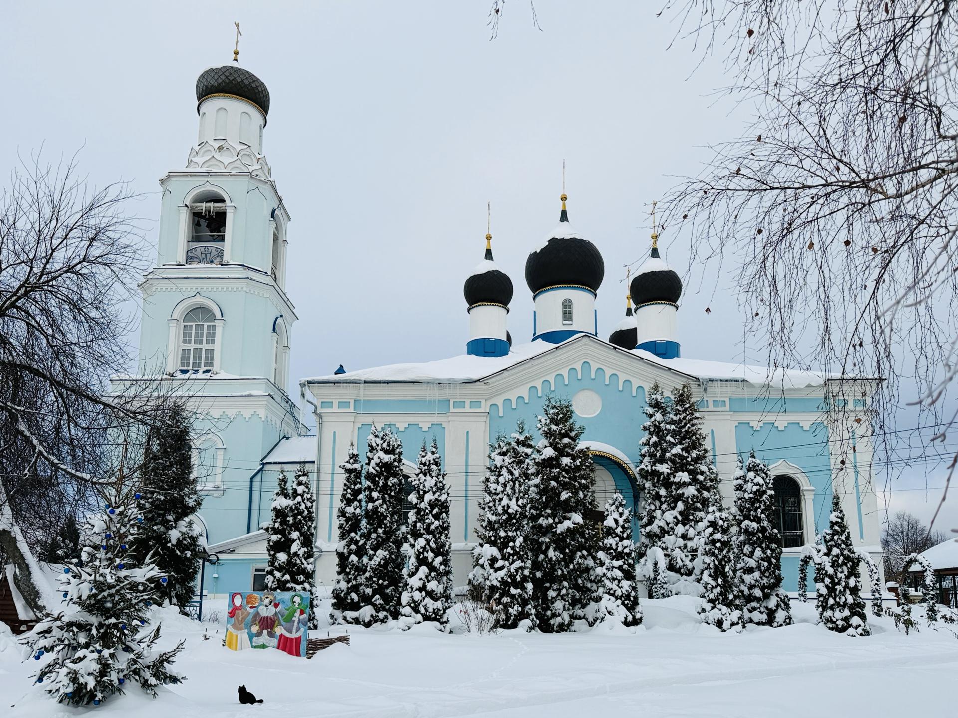 Фото: МедиаБанк Подмосковья/Ольга Стаферова