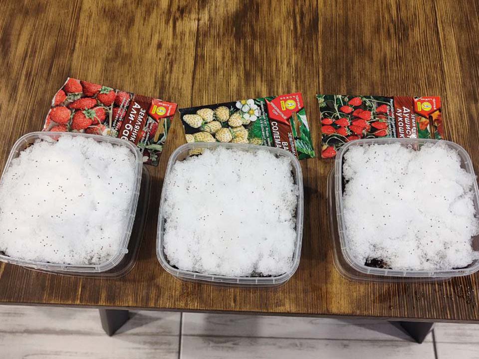 Фото: REGIONS/Нина Горина 