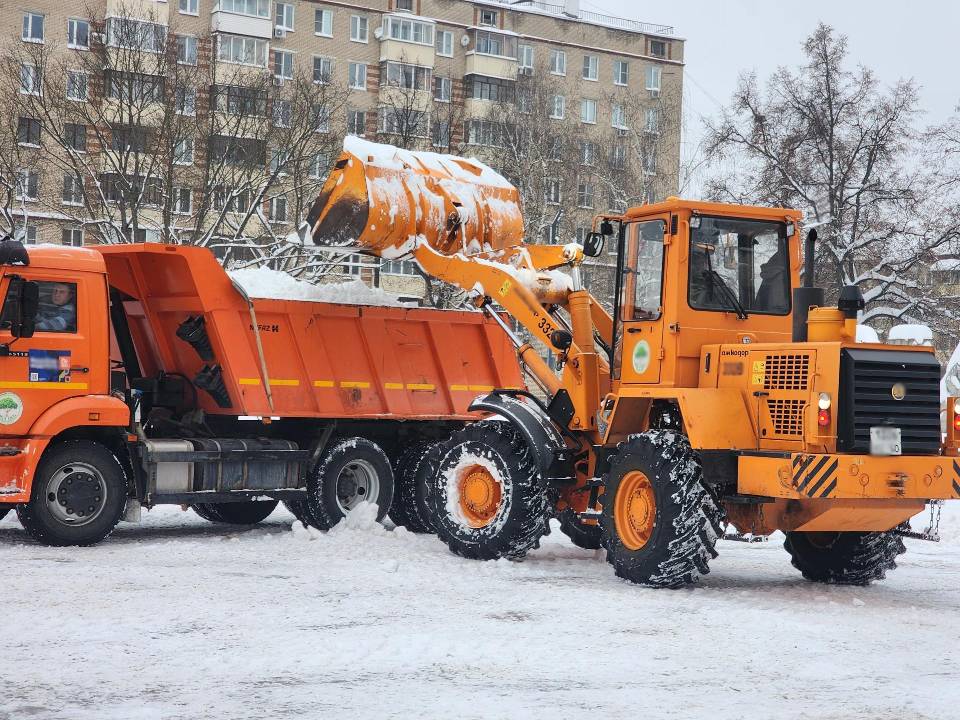 Фото: МедиаБанк Подмосковья/Мария Шигорева