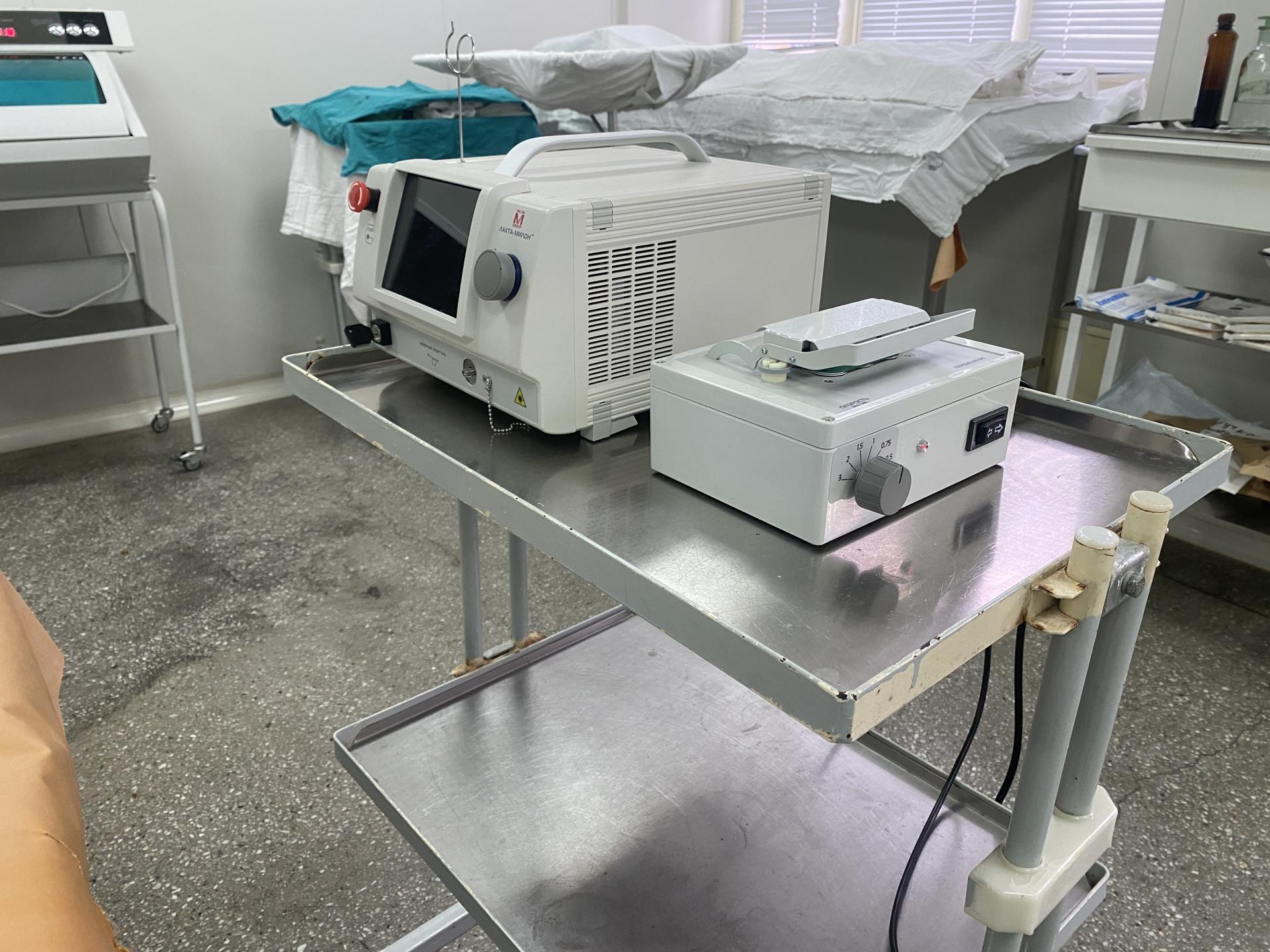 Фото: Анна Артюшина  