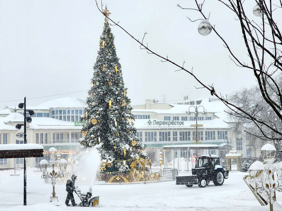 Фото: REGIONS/Ольга Аввакумова