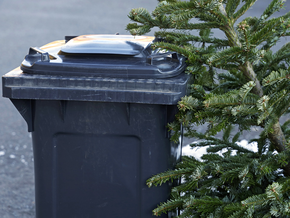 Фото: istockphoto.com/artiemedvedev 