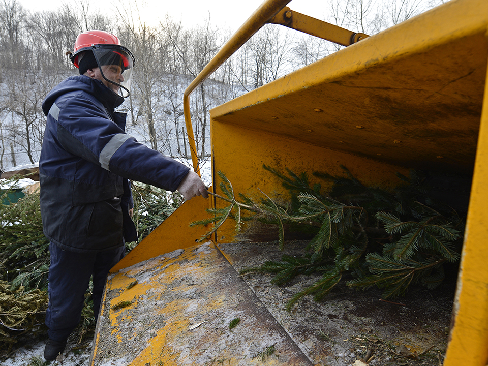 Фото: ТАСС/Юрий Смитюк