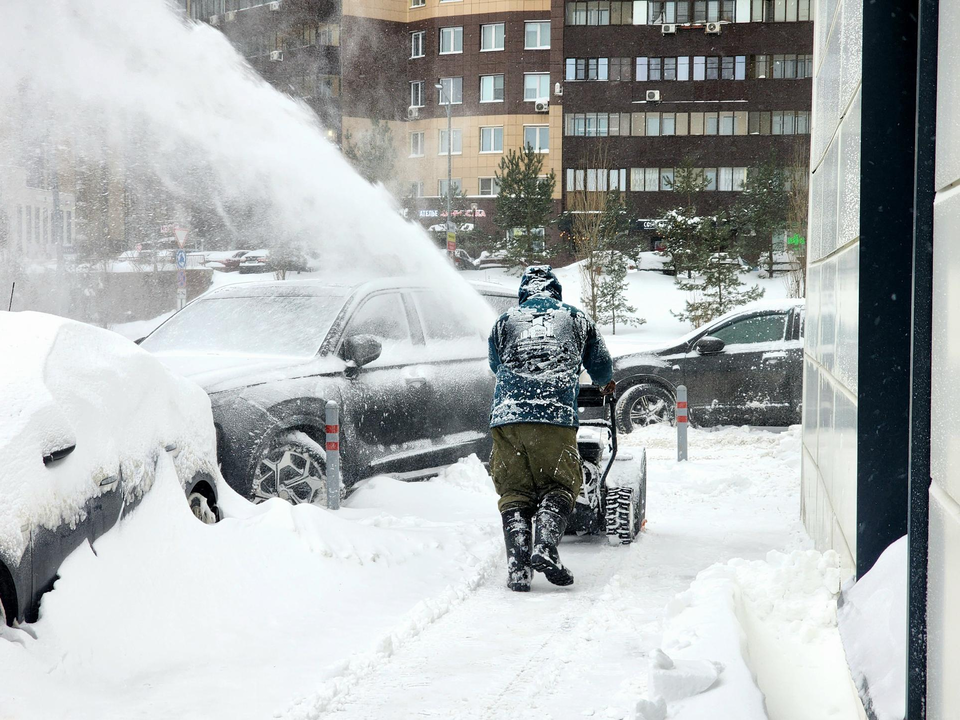 Фото: администрация г.о. Реутов