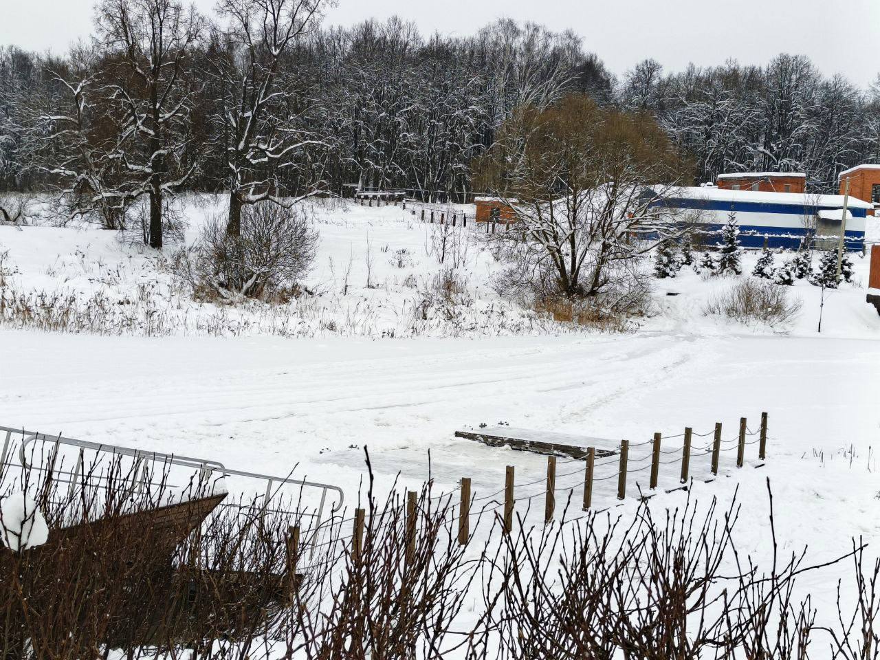 Фото: пресс-служба администрации Наро-Фоминского г.о.   