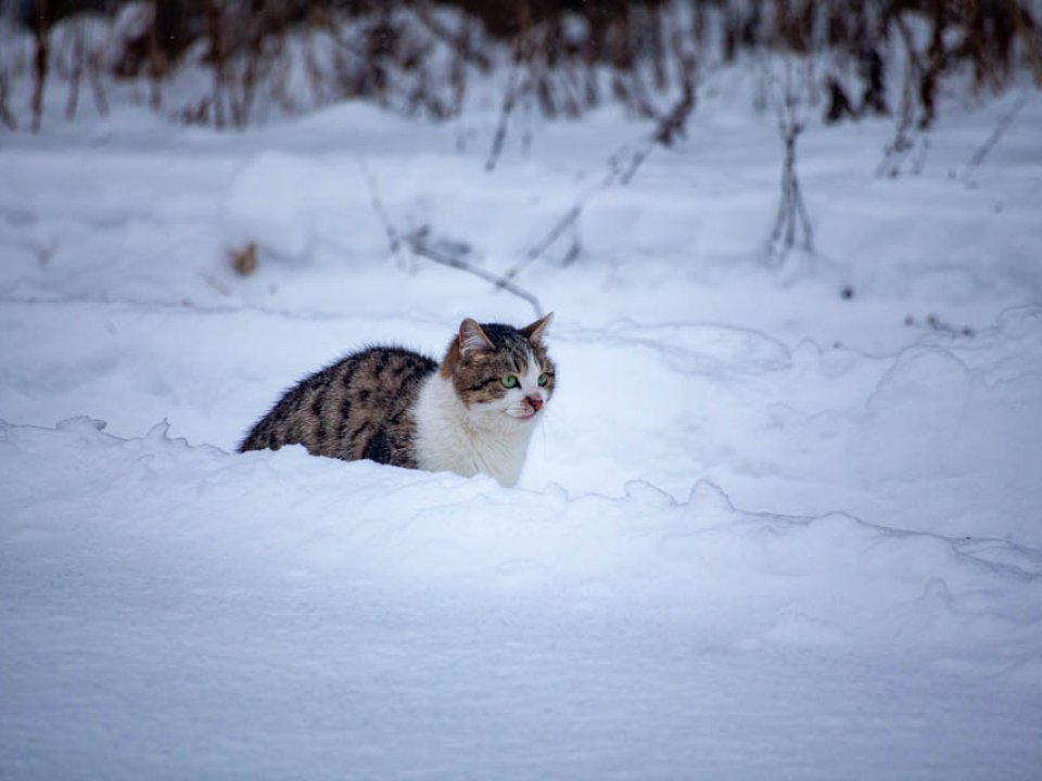 Фото: REGIONS/Дарья Левкина
