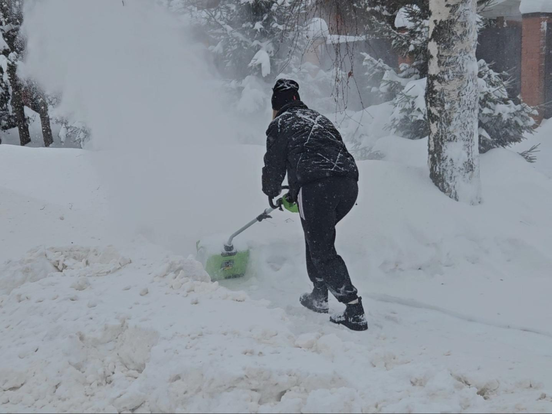 Фото: МедиаБанк Подмосковья/Ольга Вельшикаева