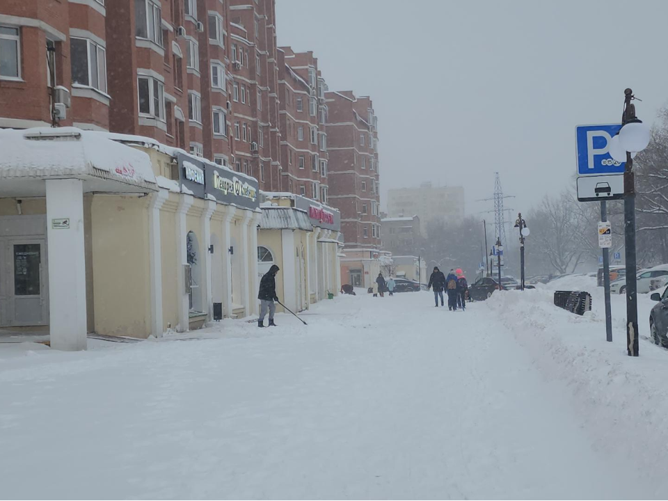 Фото: МедиаБанк Подмосковья/Екатерина Федосеева