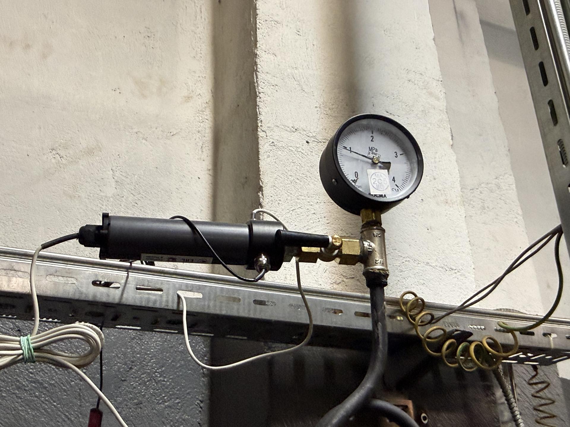 Фото: МедиаБанк Подмосковья/Анна Дука