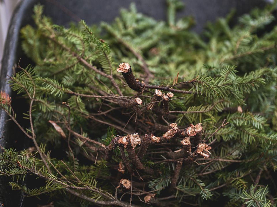 Фото: istockphoto.com/AY MOMENTS 