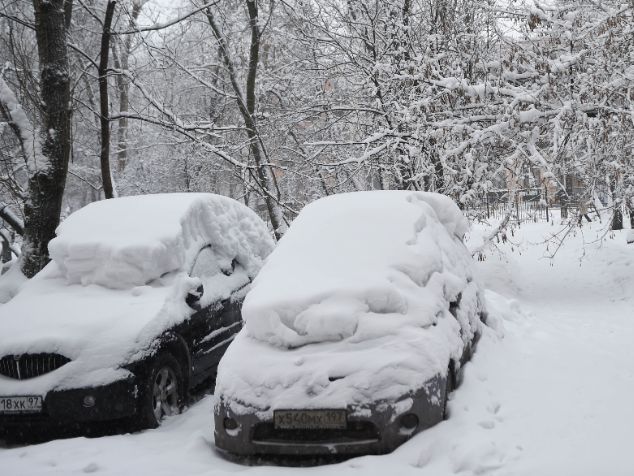 Фото: медиасток.рф