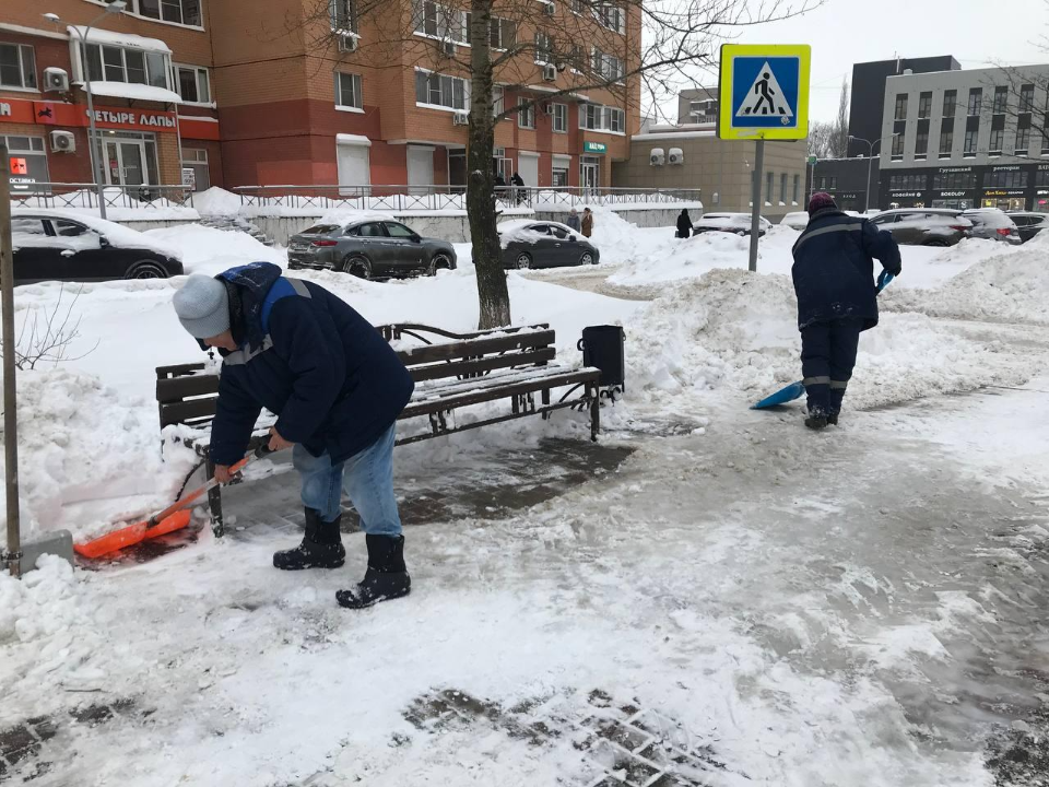 Фото: пресс-служба администрации г.о. Люберцы