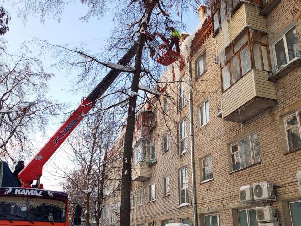 Фото: ООО «ДГХ»