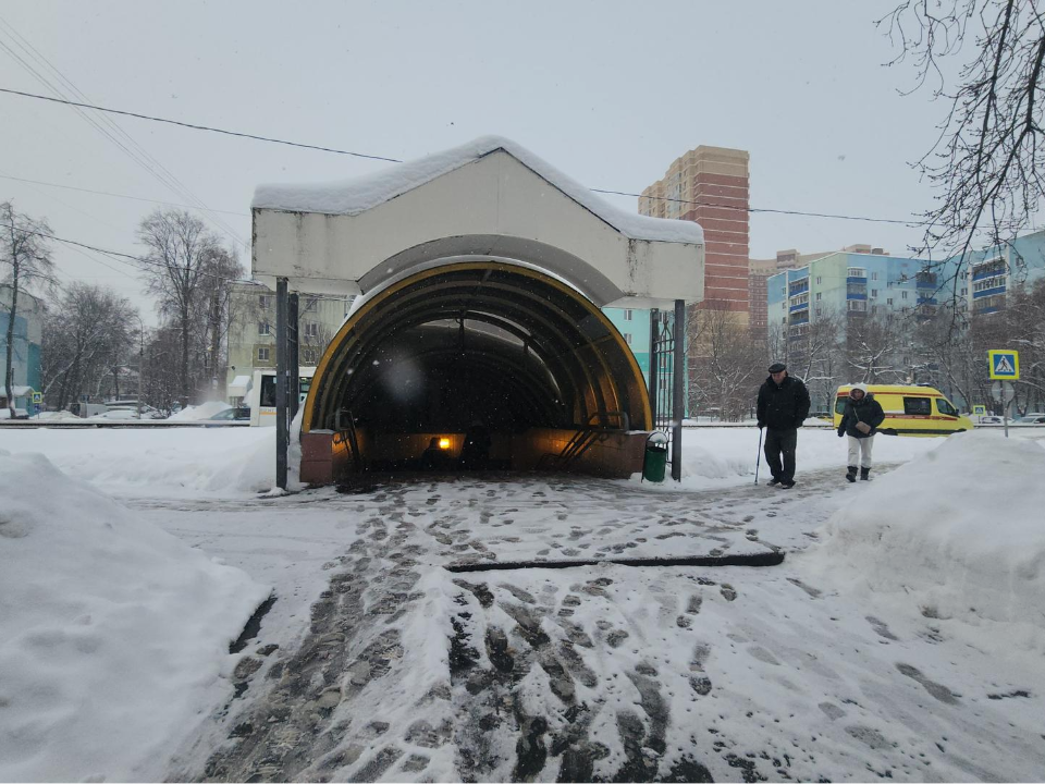 Фото: МедиаБанк Подмосковья/Наталья Лымарь