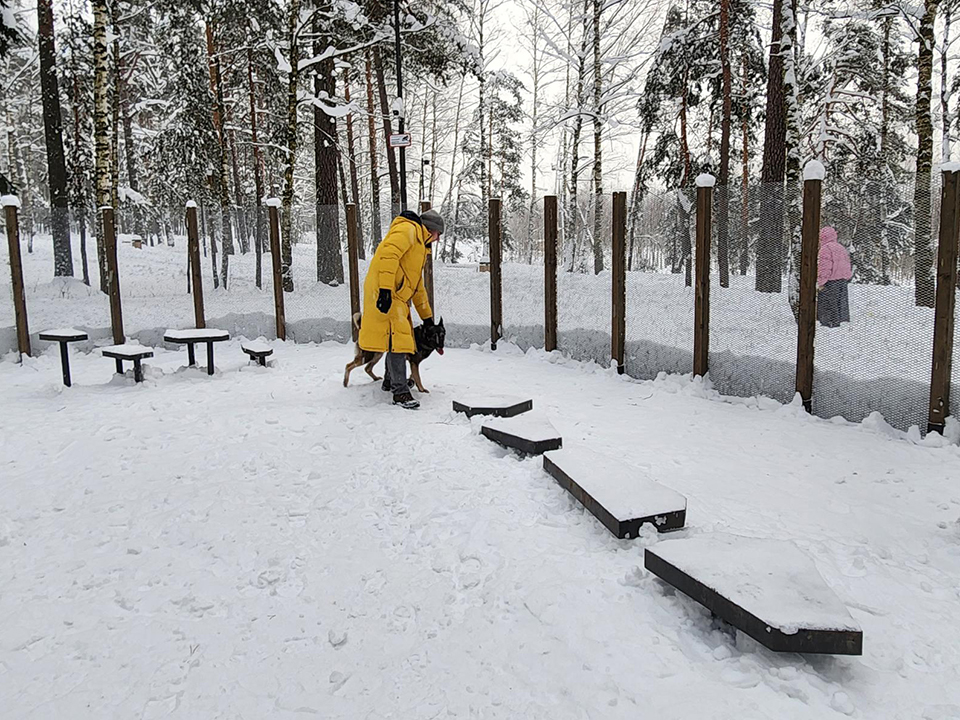 Фото: МедиаБанк Подмосковья/Екатерина Мелкозерова