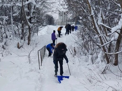 Фото: пресс-служба администрации Наро-Фоминского г.о.  