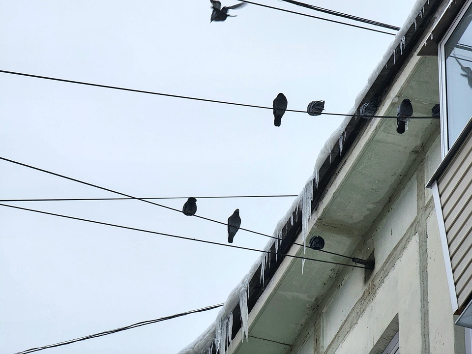 Фото: REGIONS/Мария Панина