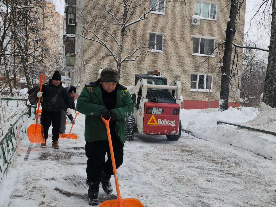 Фото: МедиаБанк Подмосковья/Наталья Лымарь