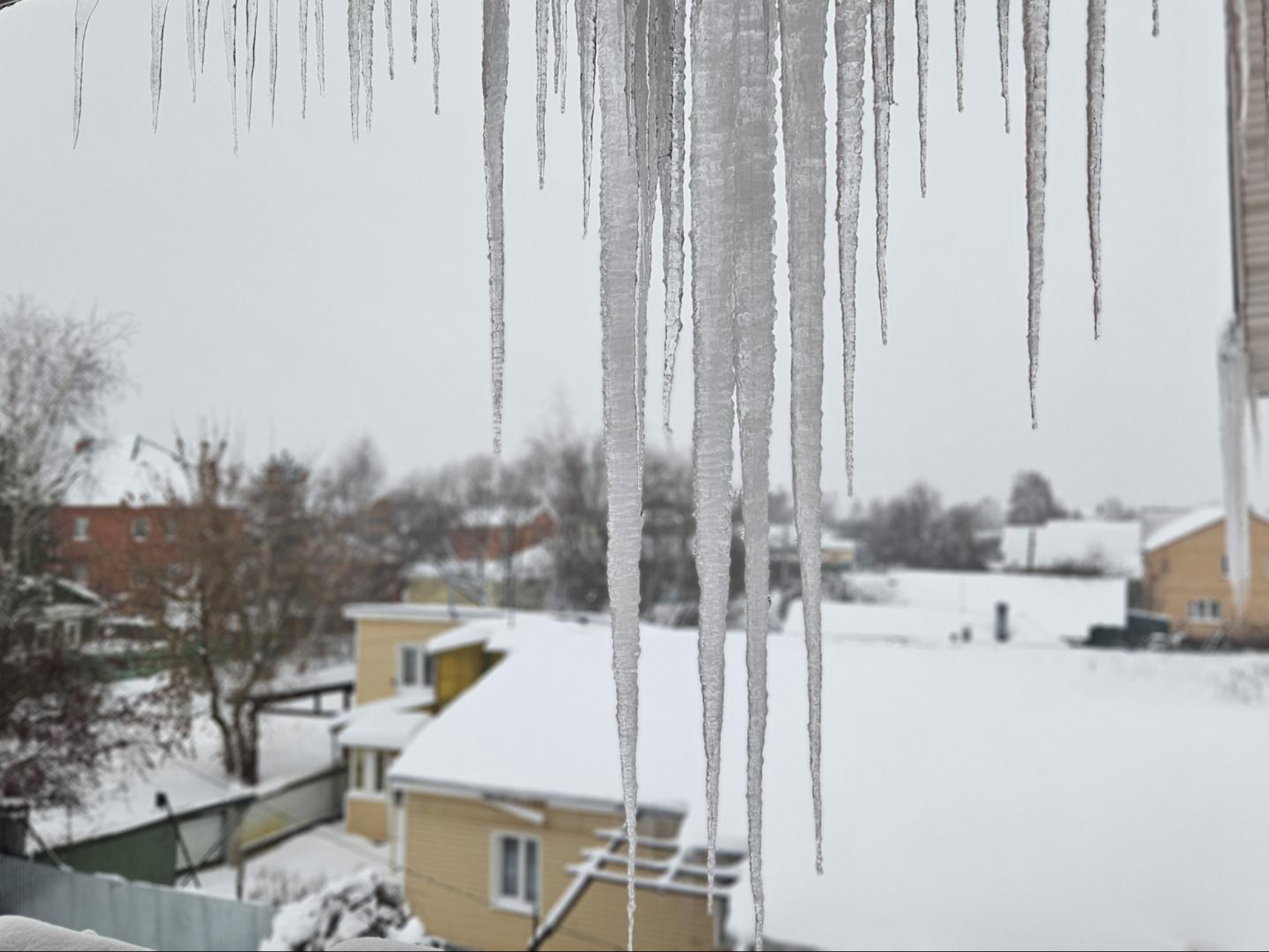 Фото: МедиаБанк Подмосковья/Ольга Вельшикаева